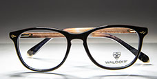 Pánská brýlová obruba WALDORF, brýle Ostrava-Centrum